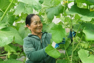 Tây Ninh đặt mục tiêu không còn hộ nghèo vào năm 2030