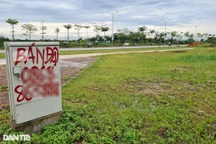 Đấu giá đất huyện Mê Linh, cao nhất hơn 97 triệu đồng/m2