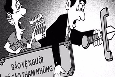 Thanh tra Chính phủ bác đề xuất tố cáo bằng điện thoại, thư điện tử...