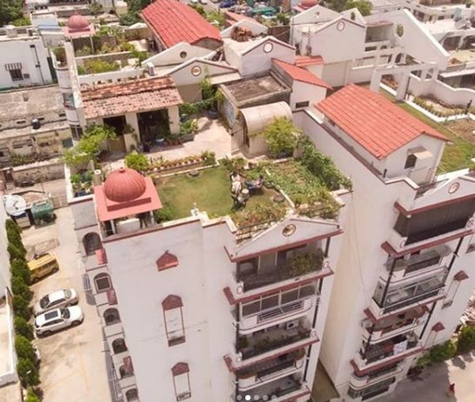 Mát mắt với khu vườn 240m2 trên sân thượng tầng 7 xanh tốt như nông trại - 3