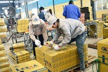 Từ bỏ các tập đoàn lớn, thanh niên Nhật thích khởi nghiệp và mở công ty riêng