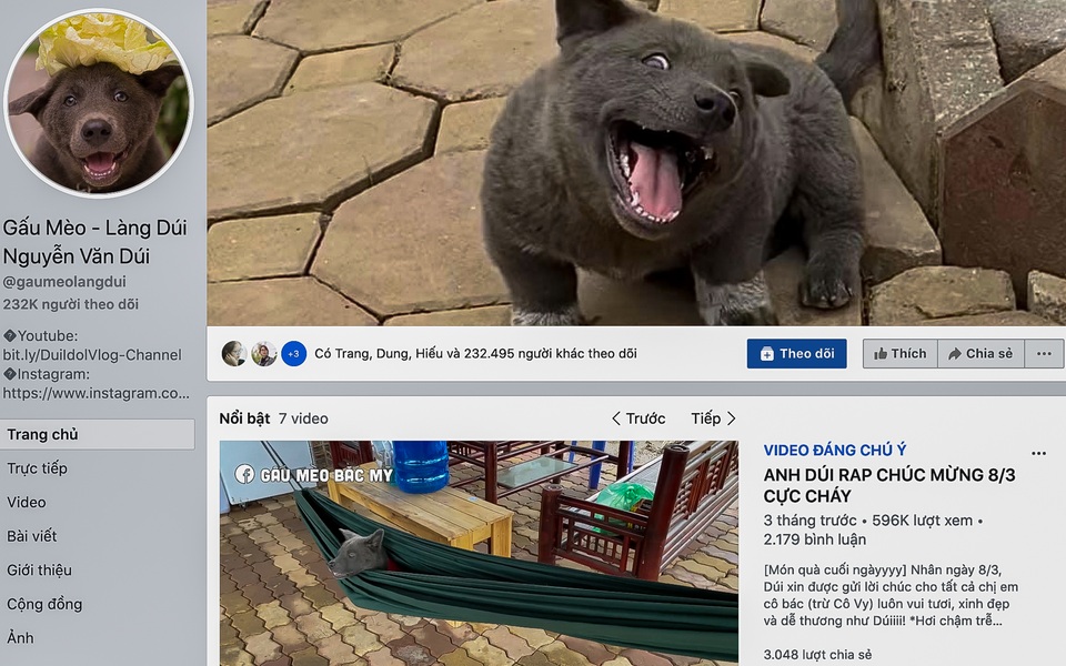 Chú chó mê du lịch, check-in muôn nơi, có 230 ngàn người theo dõi - 5 Chú chó mê du lịch, check-in muôn nơi, có 230 ngàn người theo dõi - 5