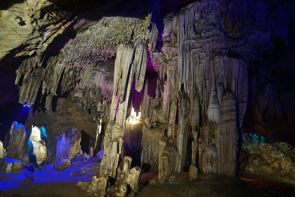 Ngắm cây võng tiên hàng trăm năm tuổi trước cửa động Từ Thức - 2