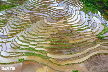 Ngắm ruộng bậc thang đẹp bình yên mùa nước đổ ở Thanh Hóa