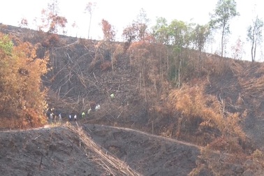 Giao rừng làm "địa bàn diễn tập phòng thủ", mất luôn... 175 ha