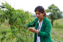 Hoa hậu 6 con "ngã đau" khi bỏ phố về vườn làm nông dân