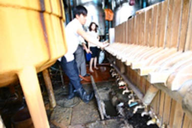 Cơ sở sản xuất bia xả nước thải xuống hồ Trúc Bạch