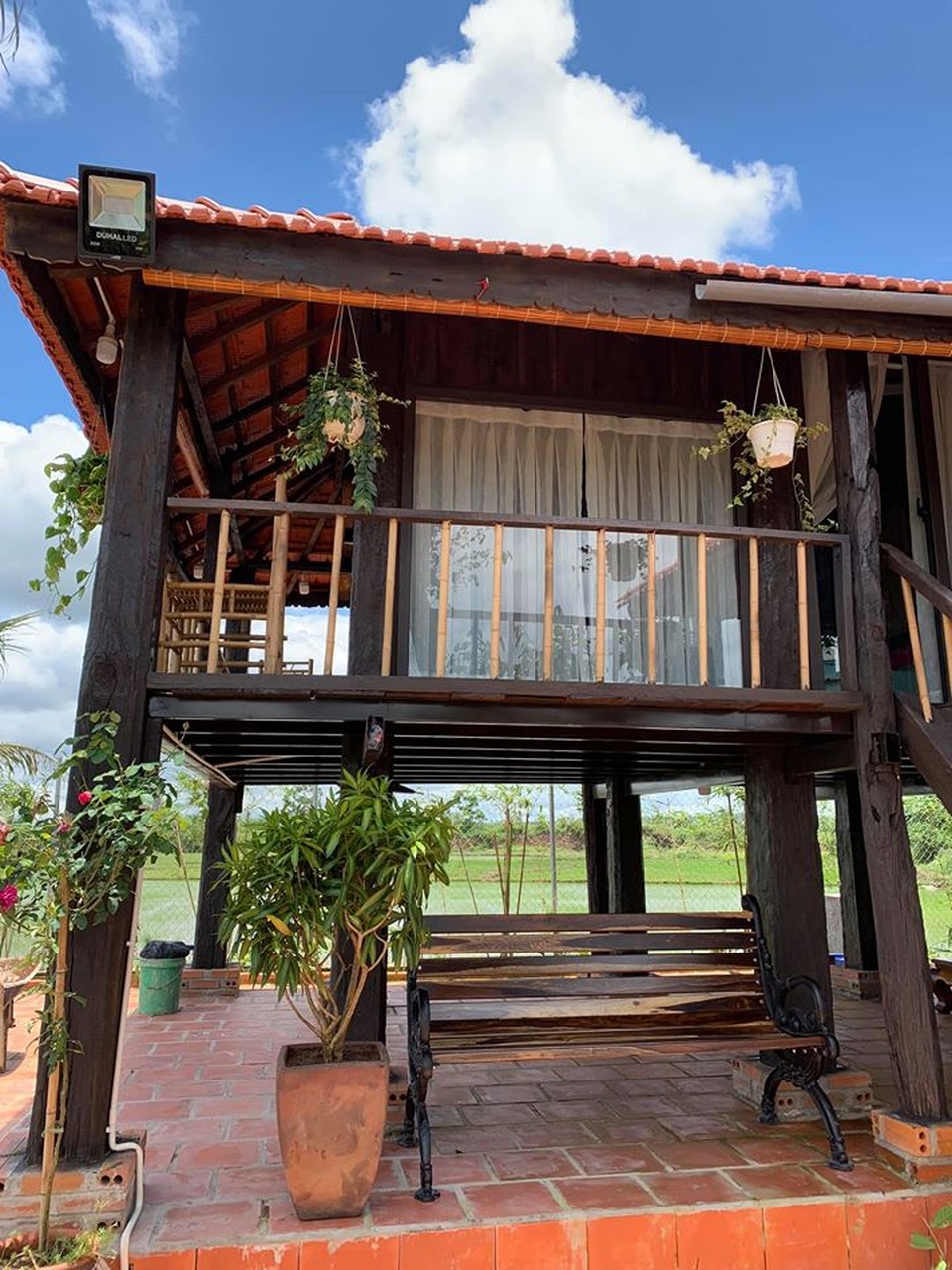 Mua lại nhà sàn cũ, gia đình ở Tây Nguyên làm nhà vườn 3.000m2 tuyệt đẹp - 3 Mua lại nhà sàn cũ, gia đình ở Tây Nguyên làm nhà vườn 3.000m2 tuyệt đẹp - 3