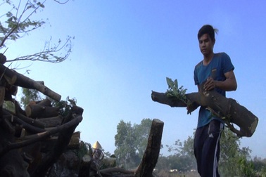 Chông chênh giấc mơ làm thầy của nam sinh mưu sinh trên bãi rác