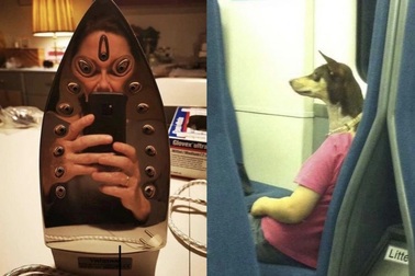 Thư giãn trong ngày đầu năm mới với chùm ảnh đánh lừa thị giác đầy hài hước