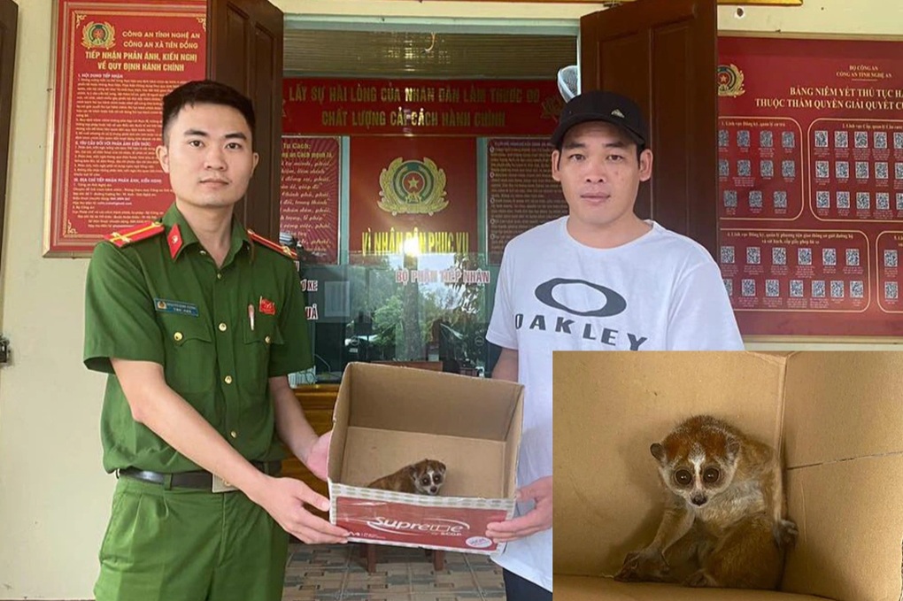 Loài thú bé có đôi mắt to vào nhà trú bão, chủ nhân giao cho công an - 1 Loài thú bé có đôi mắt to vào nhà trú bão, chủ nhân giao cho công an - 1