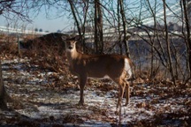 Cảnh báo nguy cơ xuất hiện biến chủng SARS-CoV-2 mới