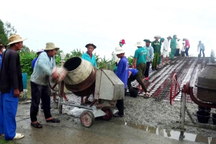 Gần 2.500 nông hộ có mức thu nhập trên một tỷ đồng/năm