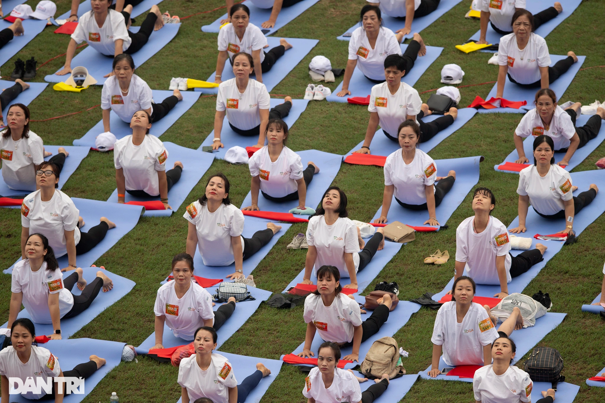 បើកភ្នែកមើលការសម្តែងដាក់ទង់ជាតិដែលបំបែកឯតទគ្គកម្មនៃមនុស្ស 5,000 នៅកីឡដ្ឋាន My Dinh - 17 Mãn nhãn màn xếp cờ Tổ quốc lớn kỷ lục của 5.000 người trên SVĐ Mỹ Đình - 17