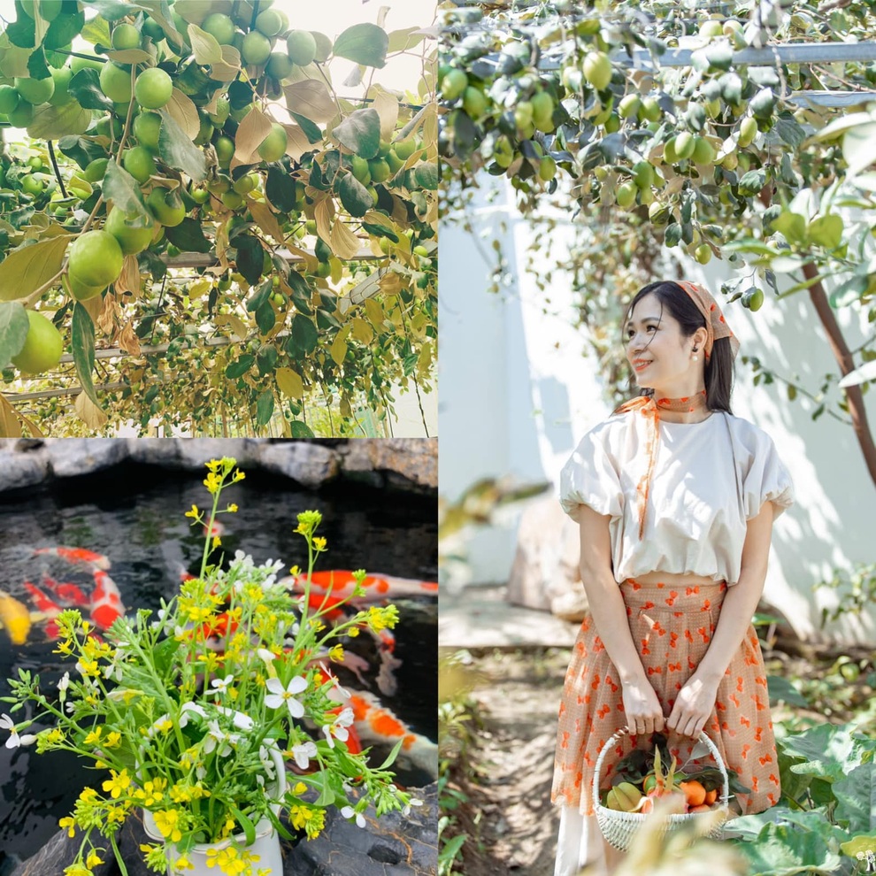 Mảnh vườn 300 m2 sum suê rau trái, thu hoạch mỏi tay của mẹ đảm Quảng Ninh - 2 Mảnh vườn 300 m2 sum suê rau trái, thu hoạch mỏi tay của mẹ đảm Quảng Ninh - 2