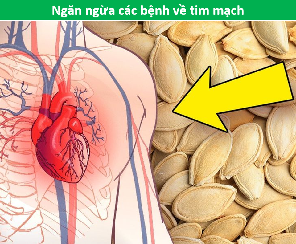 Ăn nhiều bí đỏ giúp phòng ngừa hiệu quả ung thư và bệnh tim mạch - 5 Ăn nhiều bí đỏ giúp phòng ngừa hiệu quả ung thư và bệnh tim mạch - 5