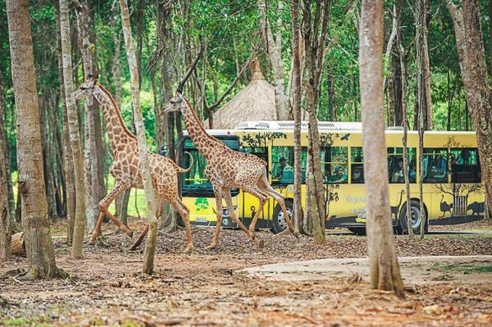 Lê Hiếu, Nguyên Hà, Gigi Hương Giang “đốn tim” khán giả với loạt hit trước hoàng hôn biển đẹp nhất Việt Nam - 10 Lê Hiếu, Nguyên Hà, Gigi Hương Giang “đốn tim” khán giả với loạt hit trước hoàng hôn biển đẹp nhất Việt Nam - 10