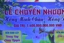 Trái đắng phi điệp đột biến: Công an nhiều tỉnh vào cuộc