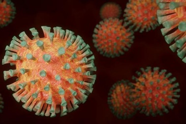 Lây truyền virus corona từ người không có triệu chứng là cực kỳ hiếm