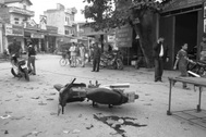 Án mạng trước cổng trường (kỳ 1): “Thằng áo đen” là ai?