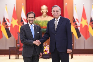Tổng Bí thư Tô Lâm và Quốc vương Brunei trao đổi về định hướng hợp tác