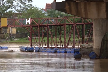 Lũ cuốn trôi cầu phao, hơn 3.000m đê bị sạt lở