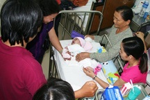 Tiếp nối duyên lành Nhân Ái đã gieo