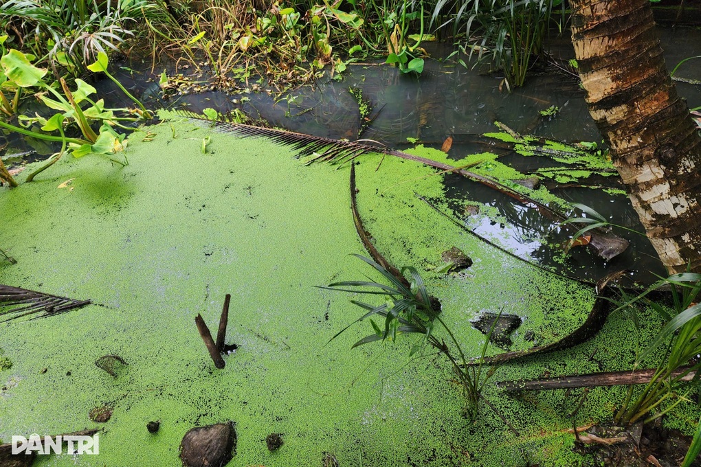 Dân bị bức tử nhiều năm vì phải sống cạnh cơ sở sản xuất nhựa tái chế - 4 Dân bị bức tử nhiều năm vì phải sống cạnh cơ sở sản xuất nhựa tái chế - 4