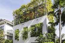 “Trốn” nóng trong ngôi nhà phủ kín cây xanh ở Sài Gòn