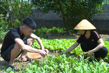 Người mẹ cả tin, chuyển hàng trăm triệu đồng để chuộc con từ nước ngoài về