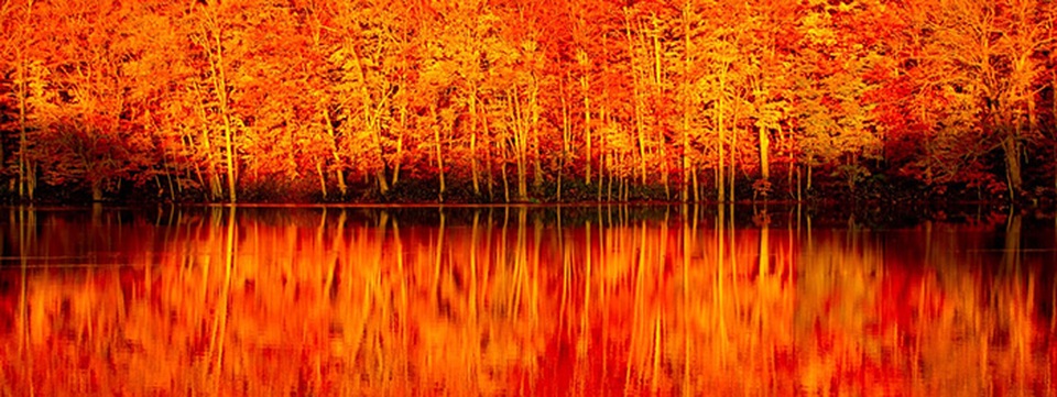 Koyo - Mùa cuốn hút du khách lên đường thưởng ngoạn sắc lá Thu - 1 Koyo - Mùa cuốn hút du khách lên đường thưởng ngoạn sắc lá Thu - 1