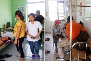 Đi tảo mộ, hàng chục người dân bị ong rừng đốt