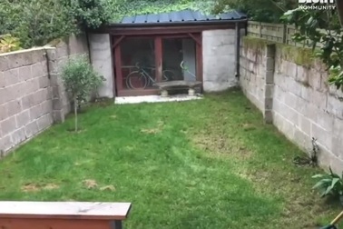 Chàng trai biến sân vườn nhỏ thành tổ ấm trong mơ khiến ai cũng phải thán phục!