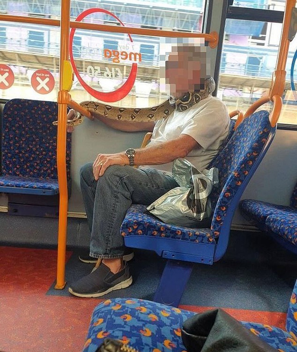 Sốc cảnh người đàn ông dùng... trăn thay khẩu trang - 1 Sốc cảnh người đàn ông dùng... trăn thay khẩu trang - 1