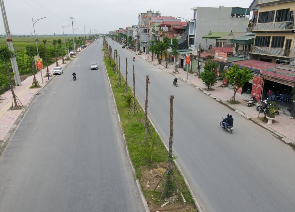 Ẩn hoạ từ hàng trăm cây xanh đột tử ở cung đường đẹp nhất huyện Thanh Oai - 4 Ẩn hoạ từ hàng trăm cây xanh đột tử ở cung đường đẹp nhất huyện Thanh Oai - 4