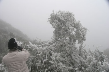 Băng tuyết lại xuất hiện trên núi cao Sa Pa