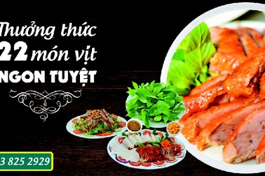 Vịt 29 – Địa chỉ quen thuộc món ngon tại Hà Nội