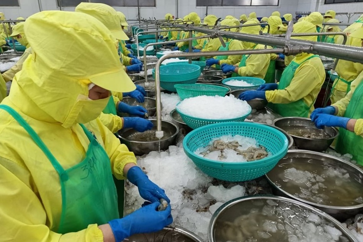 Cà Mau cho phép F0, F1 làm việc trực tiếp, nhưng không được ép buộc - 1 Cà Mau cho phép F0, F1 làm việc trực tiếp, nhưng không được ép buộc - 1