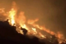 Tỷ phú đốt pháo hoa mừng năm mới gây cháy đồi vào đêm giao thừa