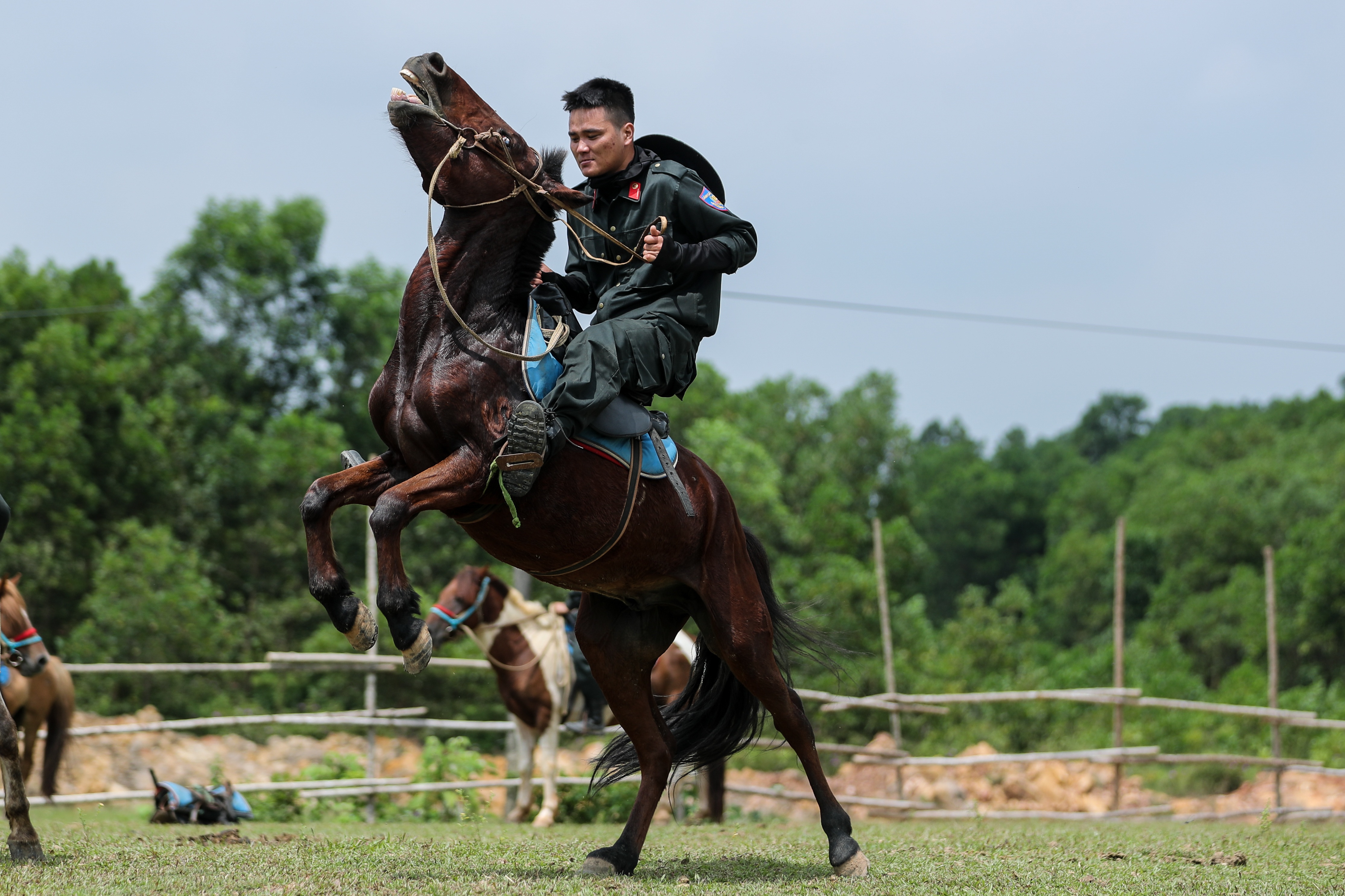 Cận cảnh kỵ binh CSCĐ thuần dưỡng ngựa nơi thao trường nắng gắt - 25 Cận cảnh kỵ binh CSCĐ thuần dưỡng ngựa nơi thao trường nắng gắt - 25