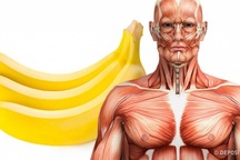 Cơ thể thay đổi như thế nào khi ăn 2 quả chuối mỗi ngày