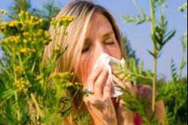 Tháng tư và bệnh dị ứng phấn hoa