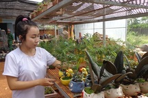 Vườn cây cảnh tiền tỷ của cô chủ 9X