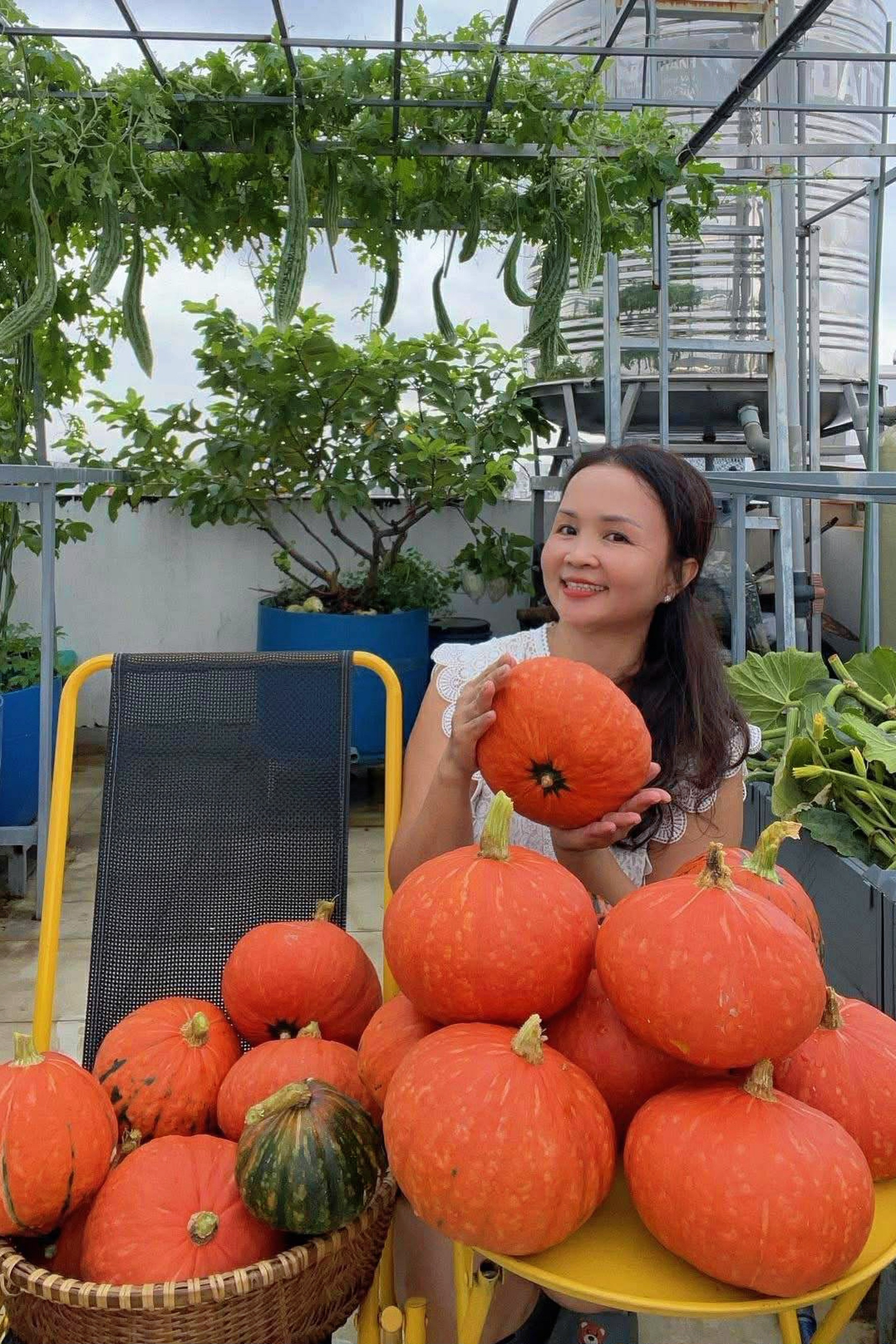 Mẹ đảm ở TPHCM biến sân thượng 100m² thành vườn bí đỏ rực như phim Mỹ - 3