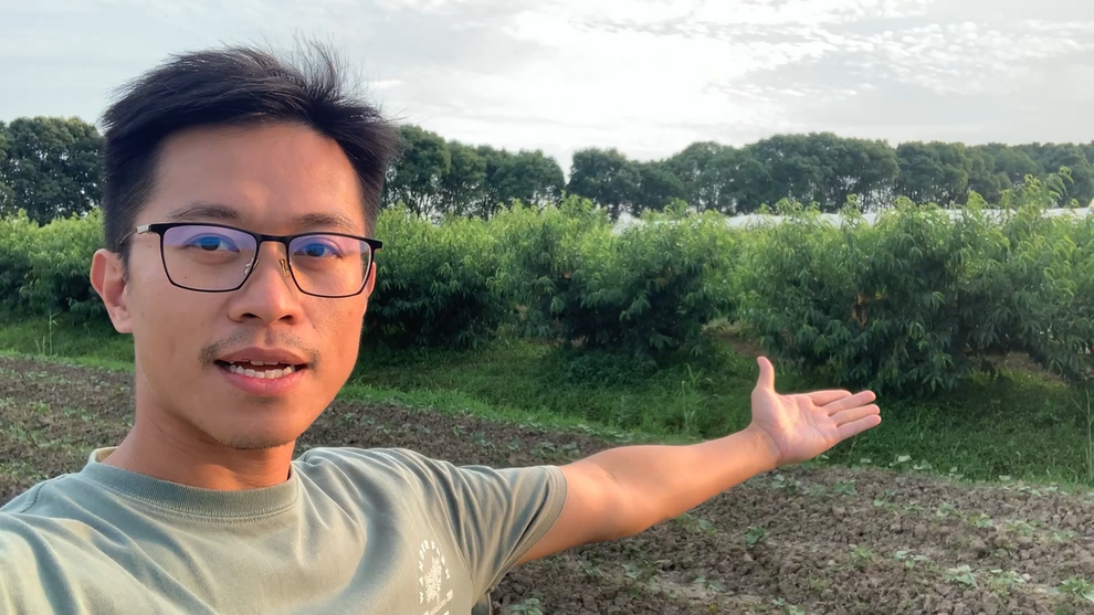Người đàn ông mua đất ngoại thành trồng lúa, dạy con làm nông - 1 Người đàn ông mua đất ngoại thành trồng lúa, dạy con làm nông - 1