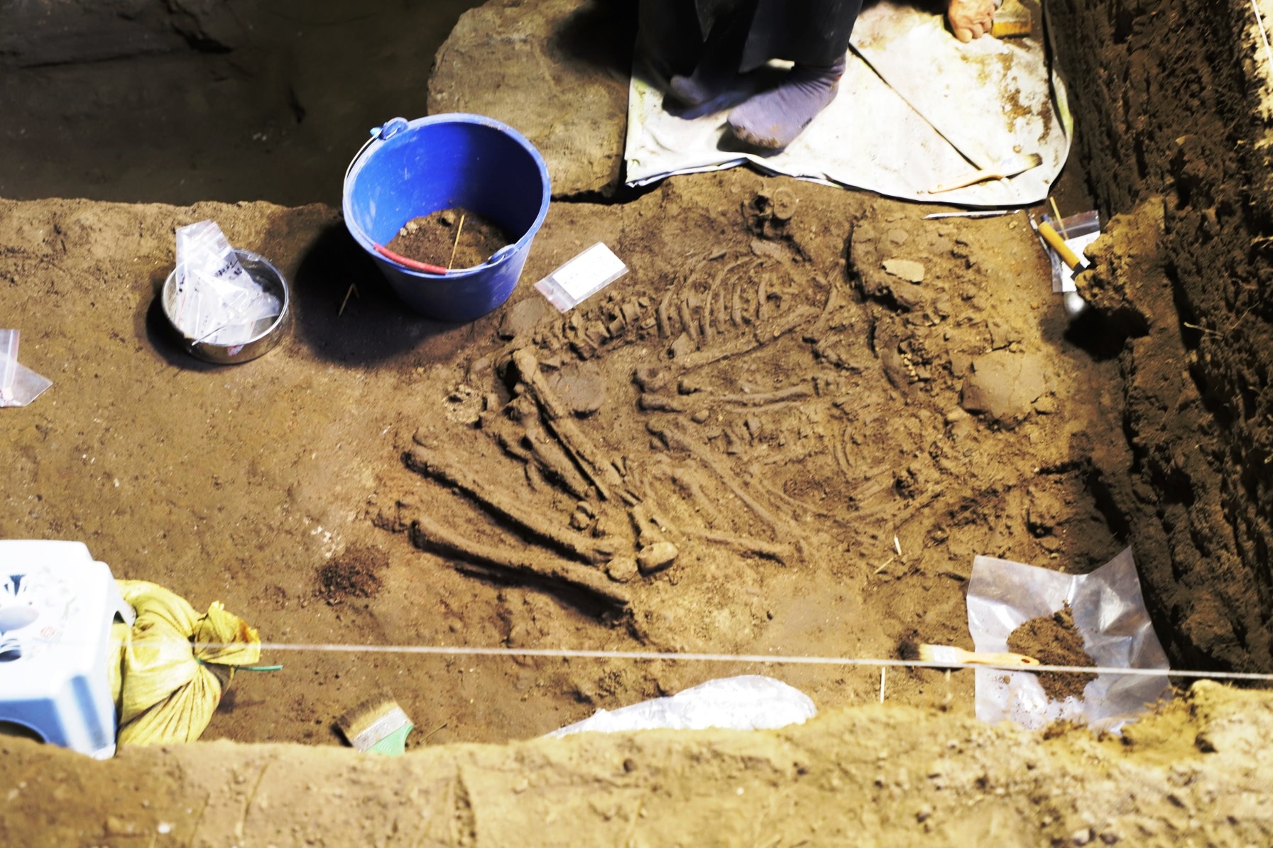 Di cốt người niên đại 10.000 năm được phát hiện tại Hà Nam - 2