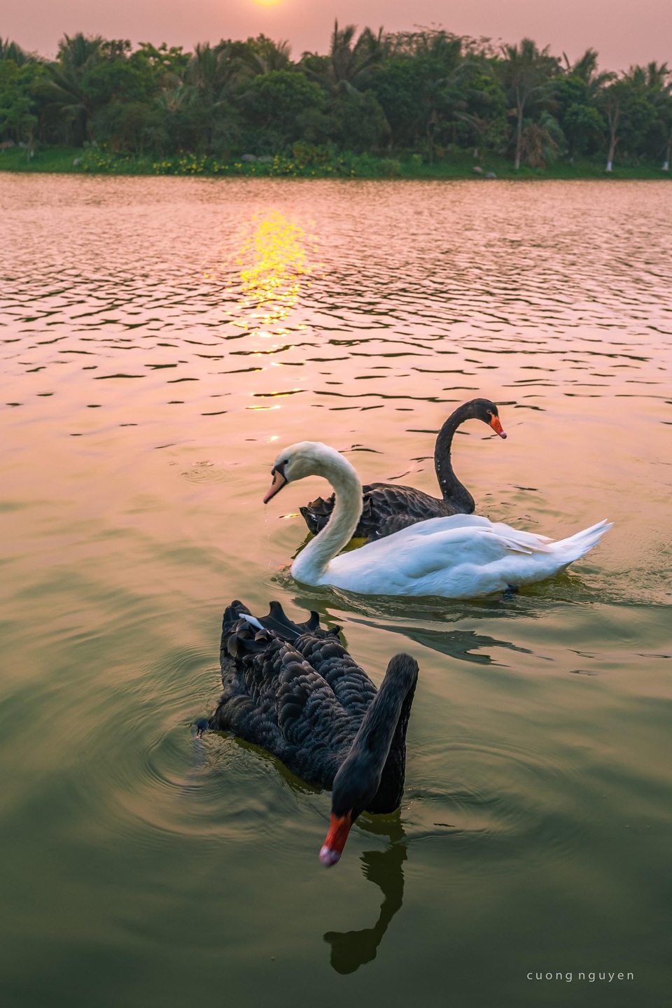 Loạt điểm dã ngoại tuyệt đẹp dịp Tết Dương lịch tại Ecopark - 3 Loạt điểm dã ngoại tuyệt đẹp dịp Tết Dương lịch tại Ecopark - 3