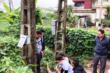 Người đàn ông bị điện giật chết trong lúc đi hái rau