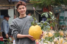 Bòng khổng lồ "truyền nước" giá tiền triệu, tấp nập người mua ở Hà Nội