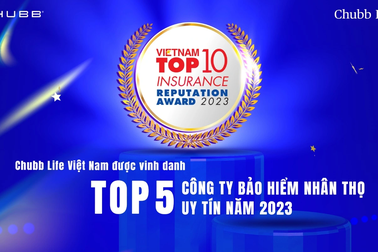 Chiến lược đầu tư hiệu quả của Chubb Life Việt Nam